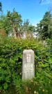 Захоронение ID 3587804