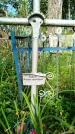 Захоронение ID 3587808