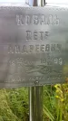 Захоронение ID 3587887