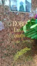 Захоронение ID 3587938