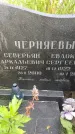 Захоронение ID 3587986