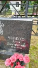 Захоронение ID 3587997