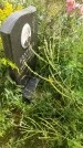 Захоронение ID 3588010