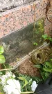 Захоронение ID 3588034