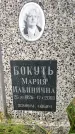 Захоронение ID 3588158
