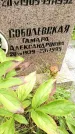 Захоронение ID 3588246