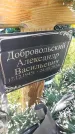 Захоронение ID 3588290