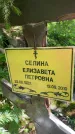 Захоронение ID 3588337