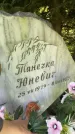 Захоронение ID 3588340