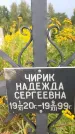 Захоронение ID 3588430