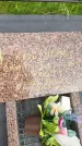 Захоронение ID 3588453