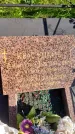Захоронение ID 3588539