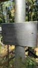Захоронение ID 3589864