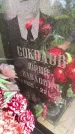 Захоронение ID 3589868