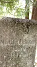 Захоронение ID 3589919