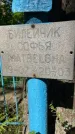 Захоронение ID 3589954