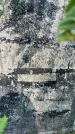 Захоронение ID 3589961