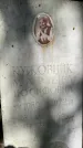 Захоронение ID 3590041