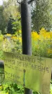 Захоронение ID 3590097