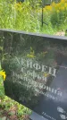 Захоронение ID 3590117