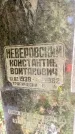 Захоронение ID 3590121
