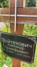 Захоронение ID 3590157