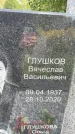 Захоронение ID 3590206
