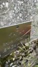 Захоронение ID 3590236