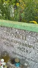 Захоронение ID 3590238