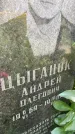 Захоронение ID 3590260