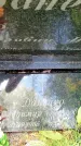 Захоронение ID 3590289
