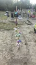 Захоронение ID 3590291