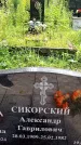 Захоронение ID 3590308