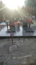 Захоронение ID 3590349