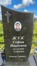 Захоронение ID 3590352