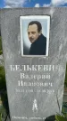 Захоронение ID 3590363