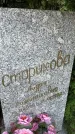 Захоронение ID 3590404