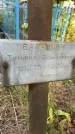 Захоронение ID 3590436