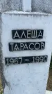 Захоронение ID 3590502