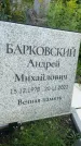 Захоронение ID 3590505