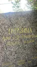 Захоронение ID 3590537