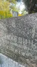 Захоронение ID 3590543