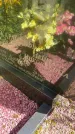 Захоронение ID 3590561