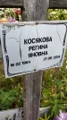 Захоронение ID 3590564