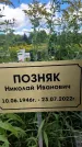 Захоронение ID 3590637