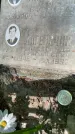 Захоронение ID 3590677