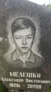 Захоронение ID 3590703