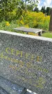 Захоронение ID 3590724