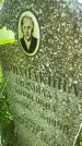 Захоронение ID 3590742