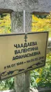 Захоронение ID 3590752